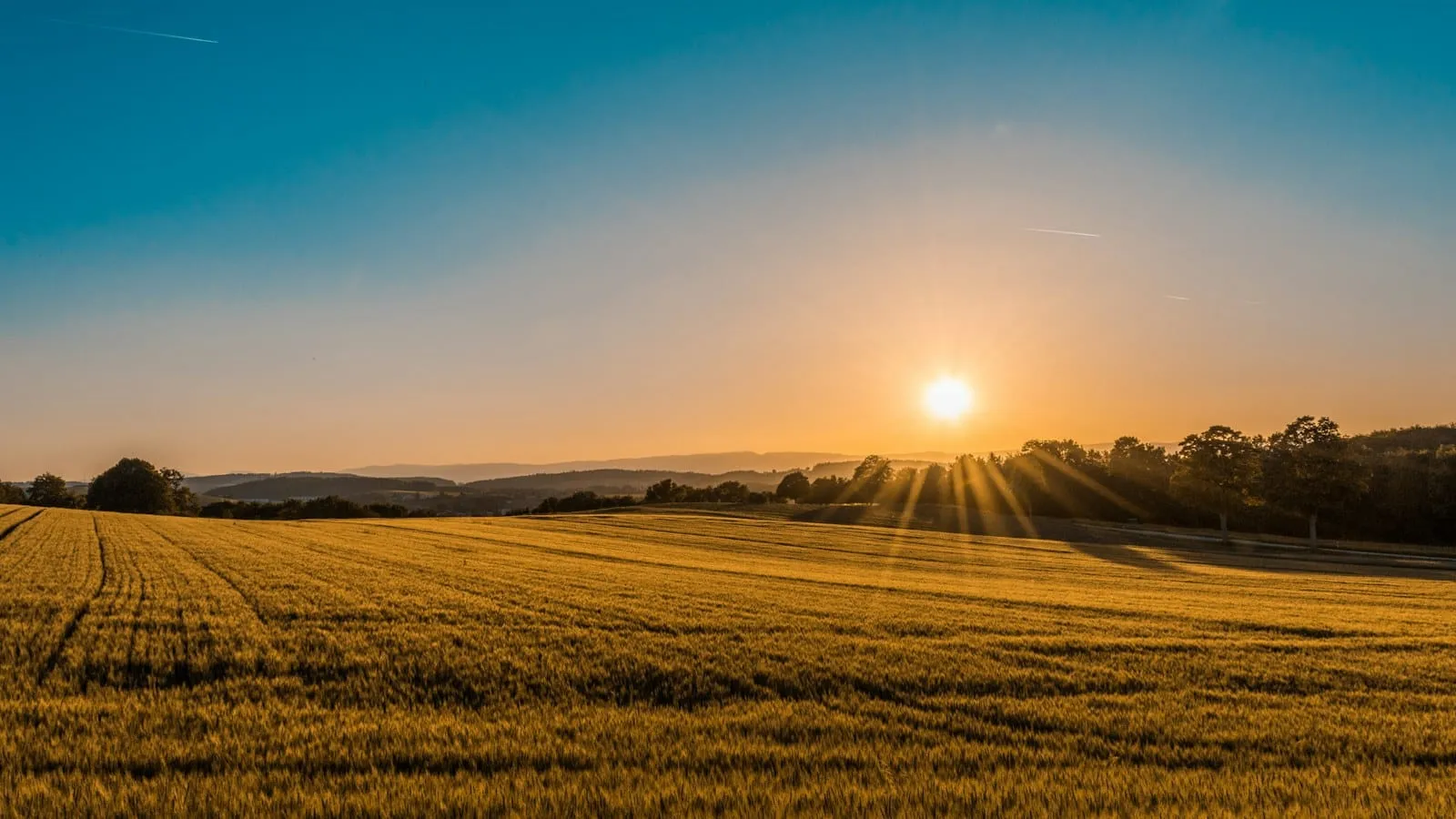 Área agrícola com relevo e vegetação ao entardecer